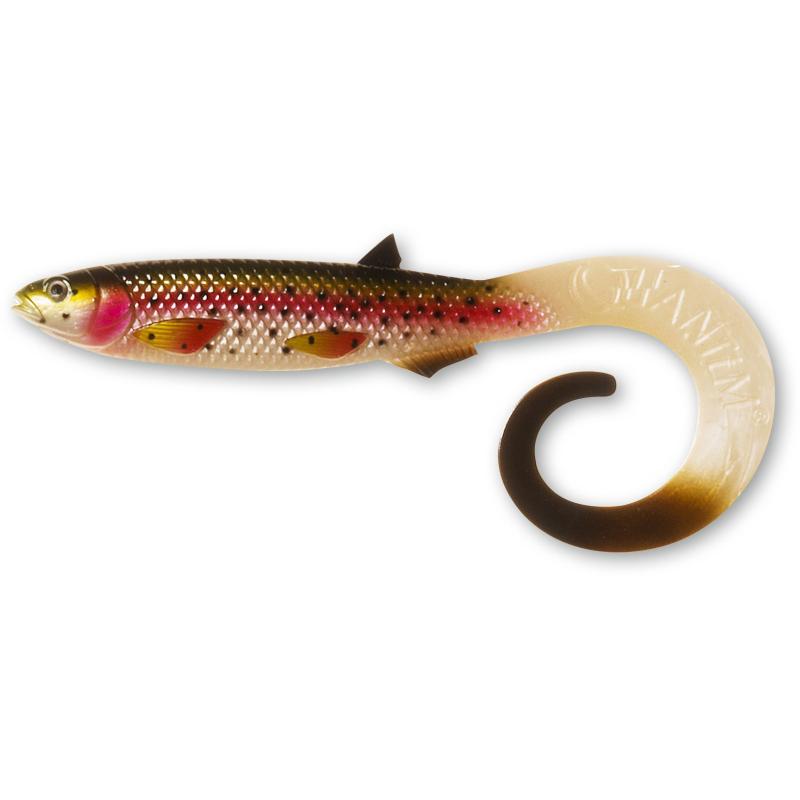 Quantum 64g 26cm Yolo Curly Shad rainbow trout